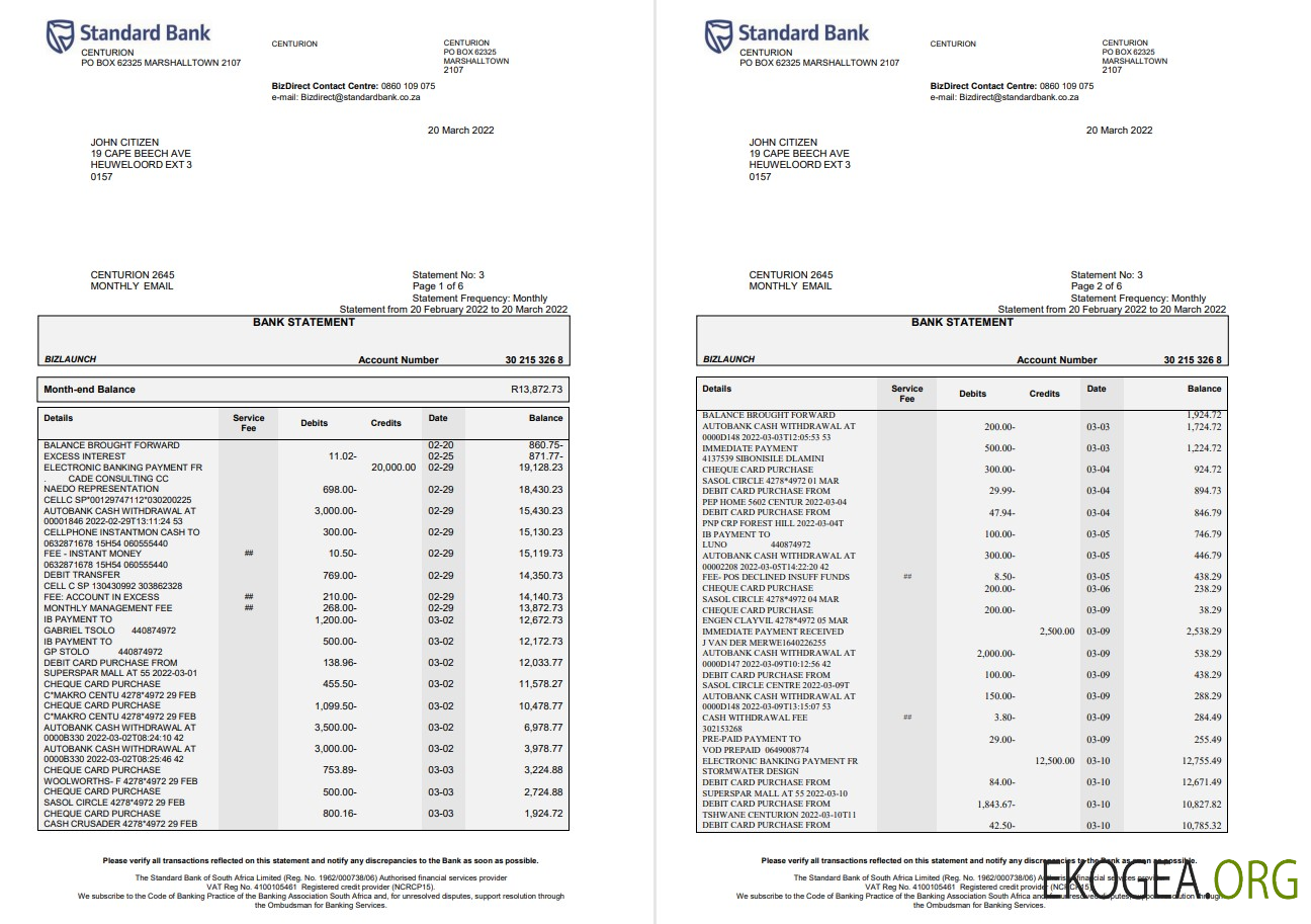 Afrique du Sud Relevé bancaire standard 6 pages